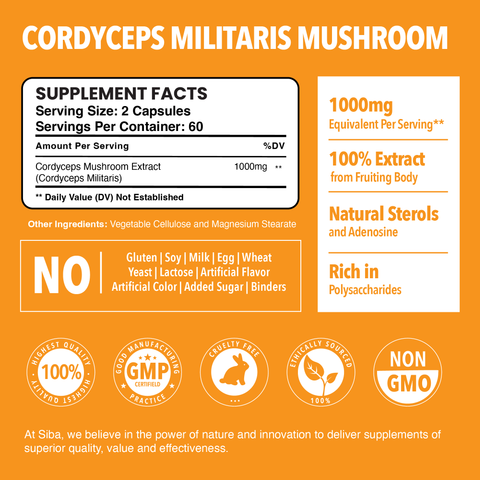 Cordyceps Mushroom Extract - Dominican magic