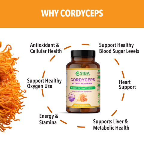 Cordyceps Mushroom Extract - Dominican magic