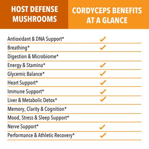 Cordyceps Mushroom Extract - Dominican magic