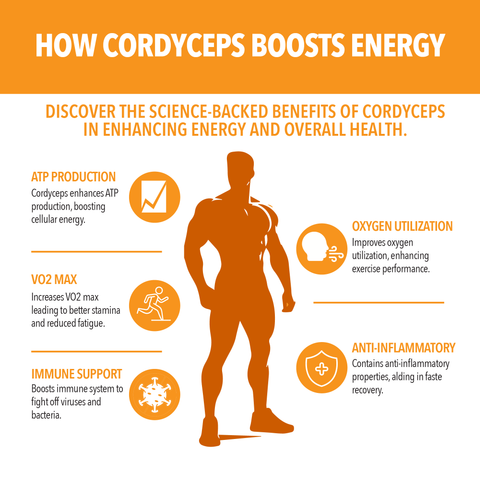 Cordyceps Mushroom Extract - Dominican magic