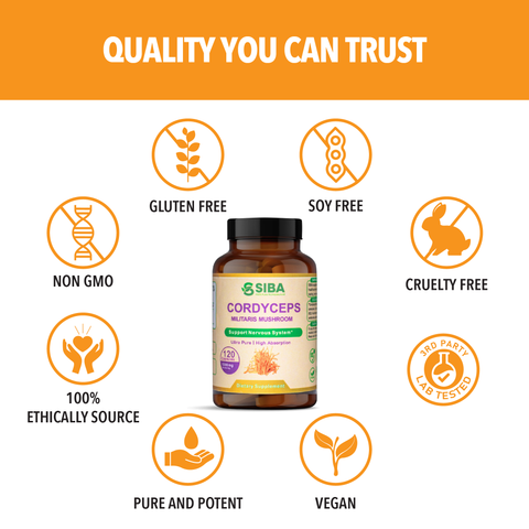 Cordyceps Mushroom Extract - Dominican magic