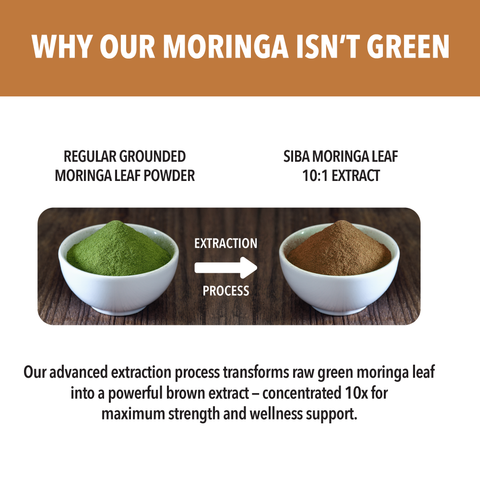 Moringa Extract Capsules - Dominican magic