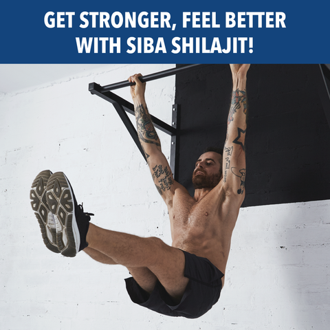 Shilajit Gummies - Dominican magic