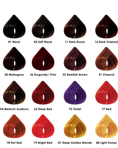 Dominican Magic Definitive Color Rinse - Dominican magic